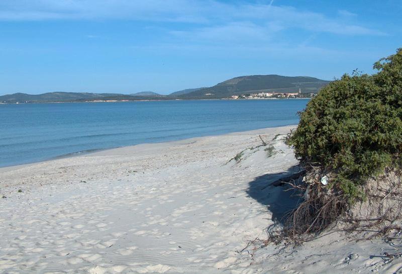 Appartamento A Pochi Passi Dalla Spiaggia Алгеро Екстериор снимка