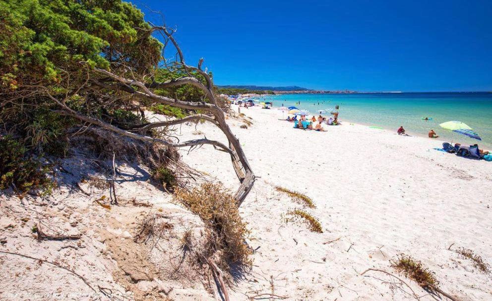 Appartamento A Pochi Passi Dalla Spiaggia Алгеро Екстериор снимка